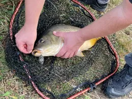 Teiche ASV Hergershausen