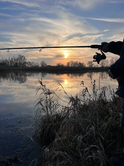 Kuhbrücksau (Kalifornien)-1