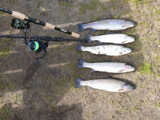 Müllers Angelteiche-1