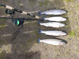 Müllers Angelteiche-1