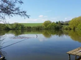 Michelsteich (Bad Salzungen)-0