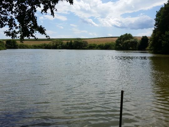 Michelsteich (Bad Salzungen)