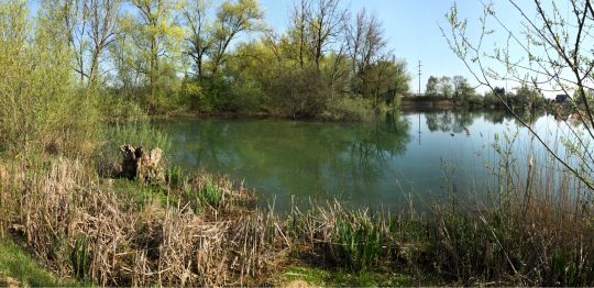 Vago-Weiher-2
