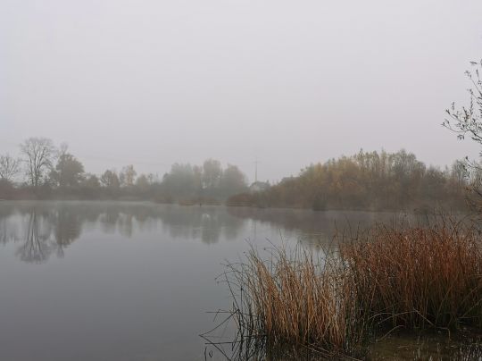 Vago-Weiher