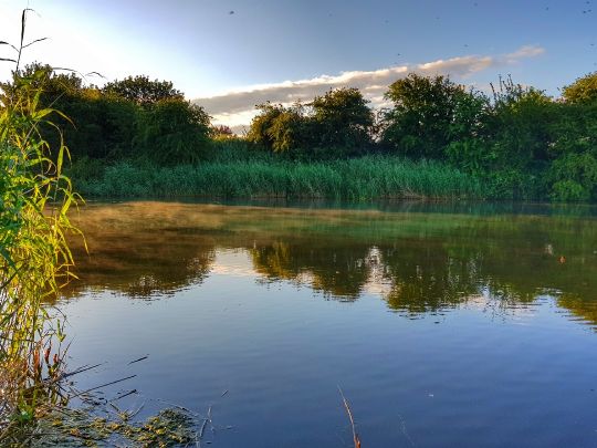 Middle Level Main Drain (King's Lynn)-1