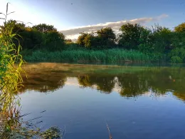 Middle Level Main Drain (King's Lynn)-1
