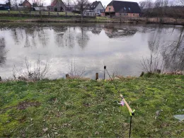 Dorfteich Grünhof-3