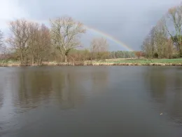 Dorfteich Grünhof-2