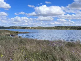 Embalse de Orellana (Badajoz)-1