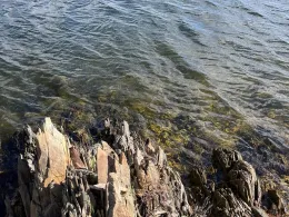 Embalse de Orellana (Badajoz)-2