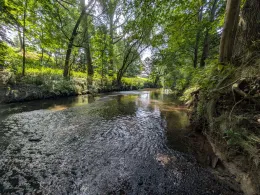 Spree (Großpostwitz/Oberlausitz)-1