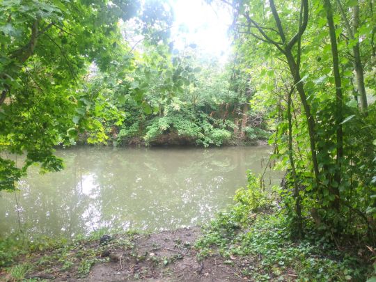 Spree (Großpostwitz/Oberlausitz)-3