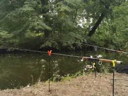 Spree (Großpostwitz/Oberlausitz)