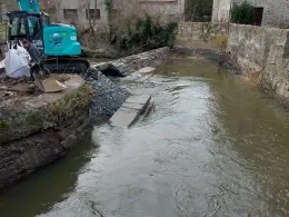 Spree (Großpostwitz/Oberlausitz)-1