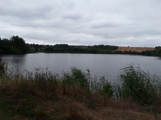 Rückhaltebecken Hermsdorf-4