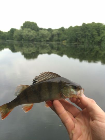 Großer De-Witt-See-4