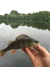 Großer De-Witt-See-4