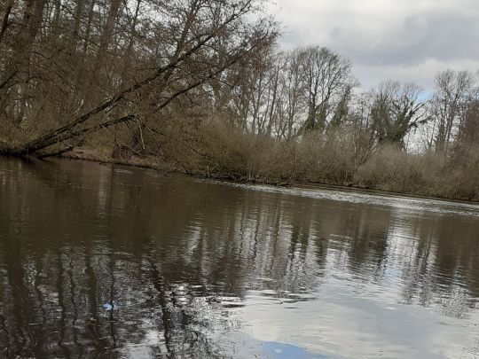 Großer De-Witt-See-1