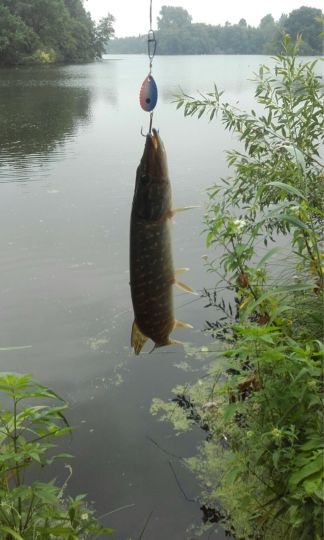 Großer De-Witt-See-3