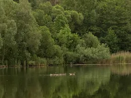 Haussee (Schönow)-1