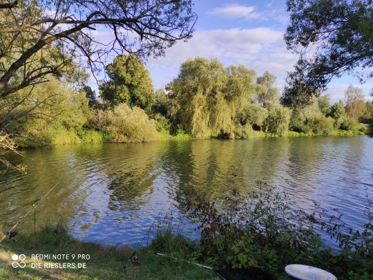 VSA-Angelsee (Heuchelheim)-3