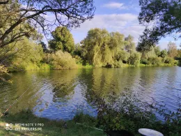 VSA-Angelsee (Heuchelheim)-3