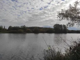 VSA-Angelsee (Heuchelheim)-4