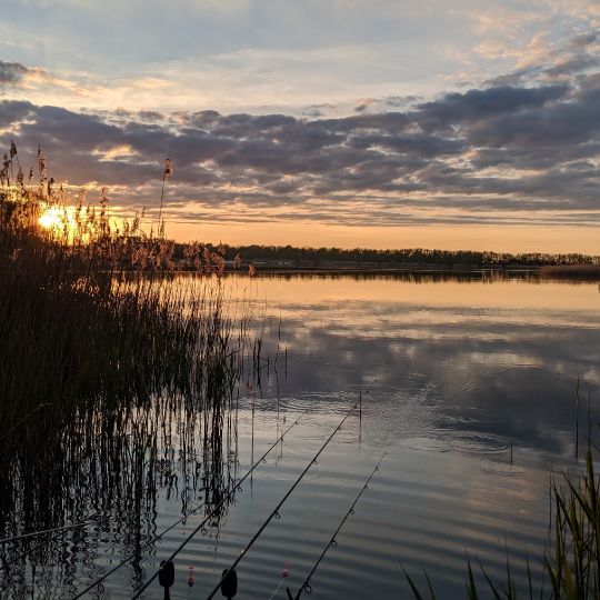Kiesgrube Eilenburg angeln