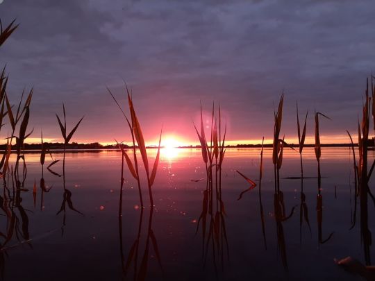 Kiesgrube Eilenburg-3