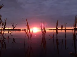 Kiesgrube Eilenburg-3