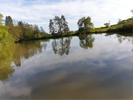 Sandhöfe Büdingen-1