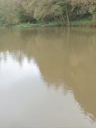 Sandhöfe Büdingen-2