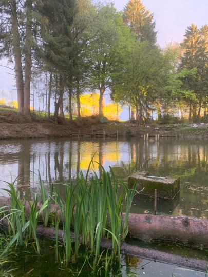 Forellenteich Höfen