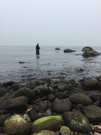 Ostsee (Nardevitz)-2