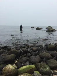 Ostsee (Nardevitz)-2