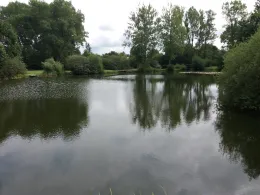 Ziegeleiteiche Fredenbeck-1