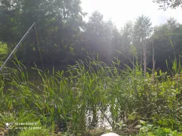 Ziegeleiteiche Fredenbeck