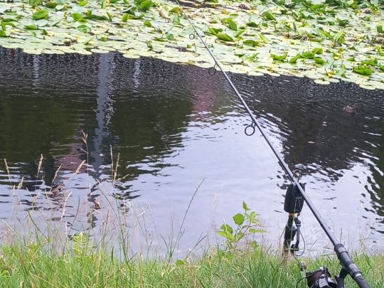 Schlossteich Velen