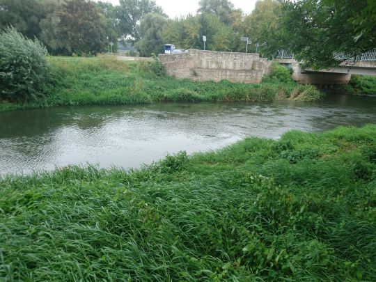 Helme (Mönchpfiffel-Nikolausrieth)-0