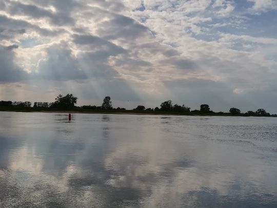 Elbe (Elbe-Parey) angeln