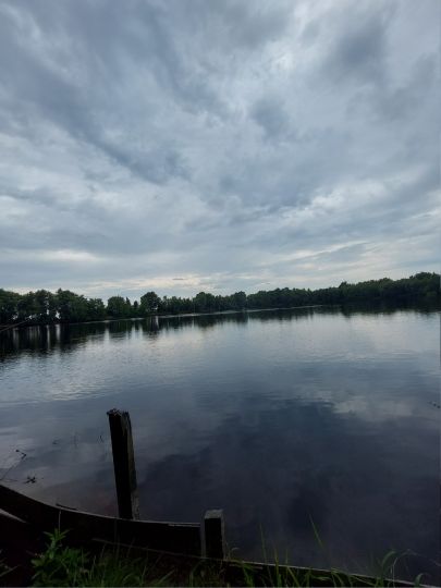 Teich an den Türmen (Westermoor)-2