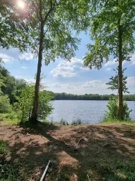 Teich an den Türmen (Westermoor)-1