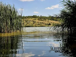 Lacul Orășenesc (Bălți)-2