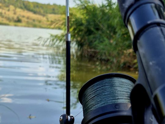 Lacul Orășenesc (Bălți)-1