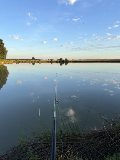 Herrnweiher (Hammerbach)