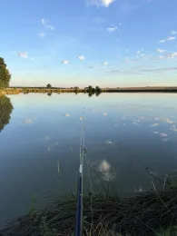 Herrnweiher (Hammerbach)