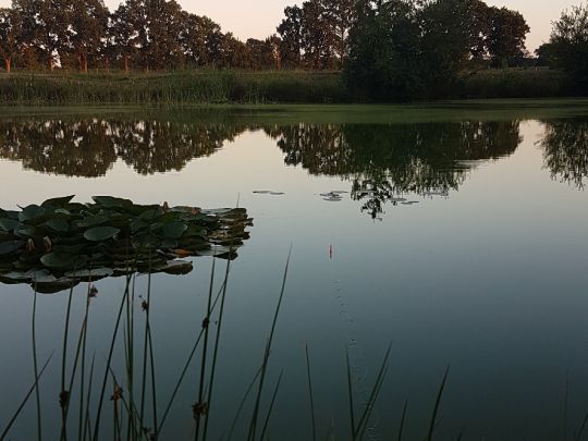 See am Greve (Großenkneten)-1