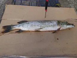 Stolper See (Möllenbeck)