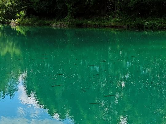 Hermannweiher (Königsbrunn)-1