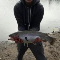 Forellensee Quickborn